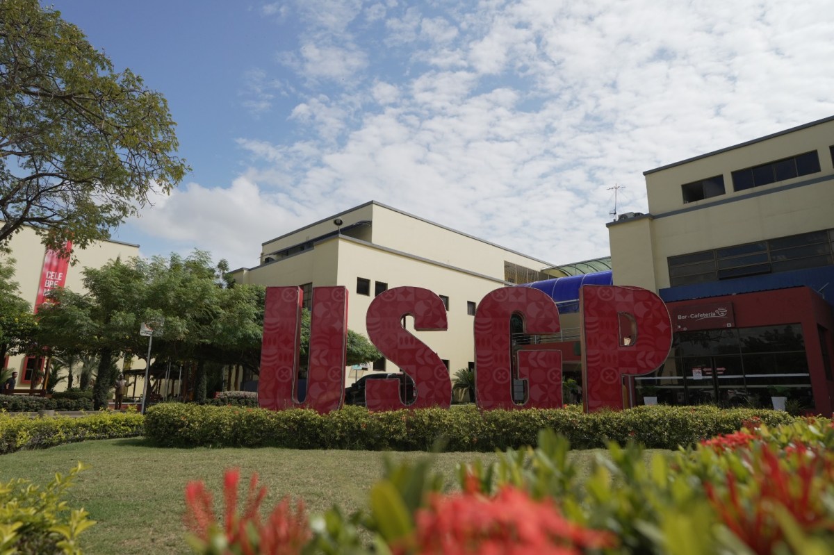 Coherencia curricular en la Educación&nbsp;Superior